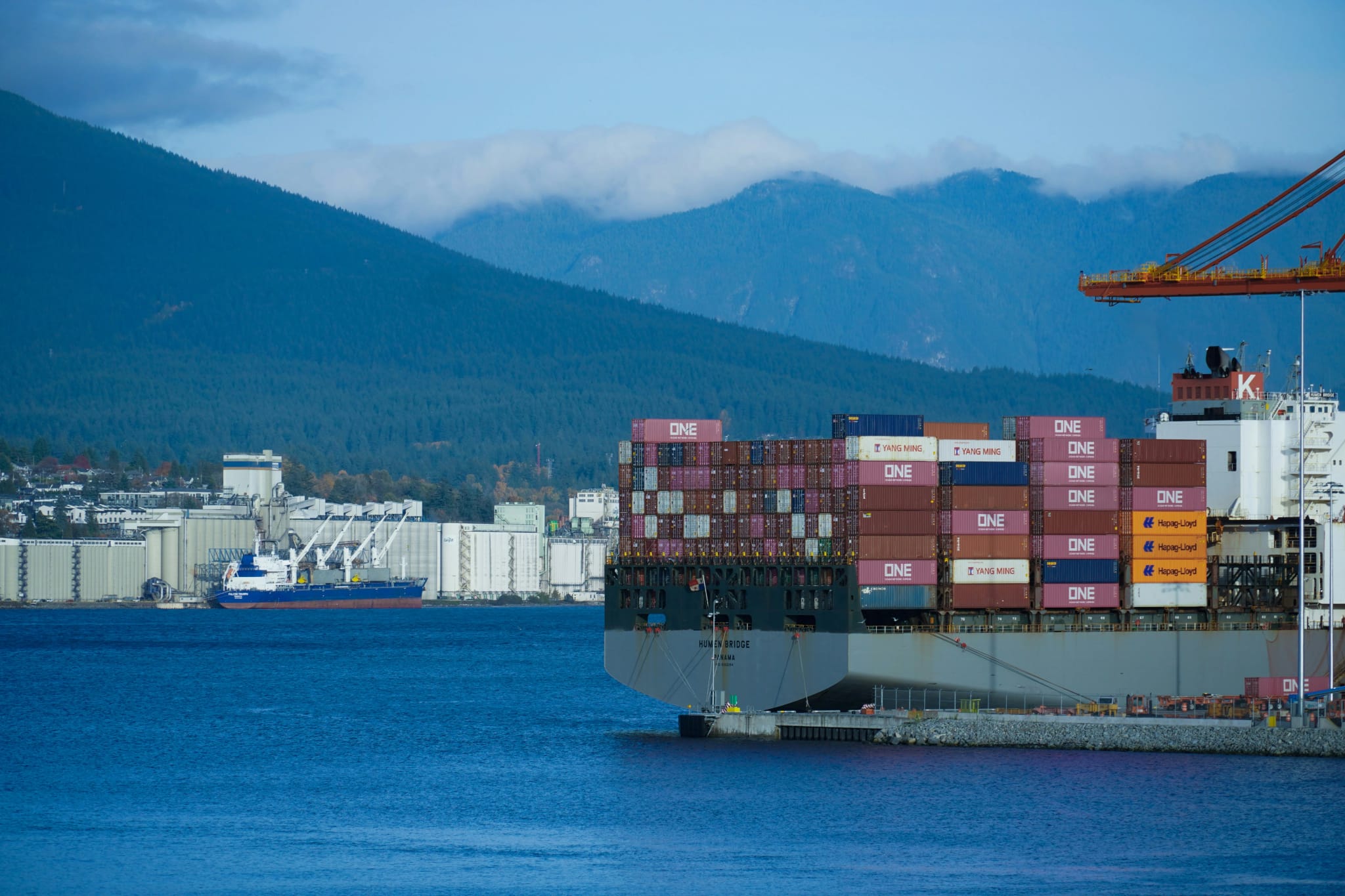 Import & Export